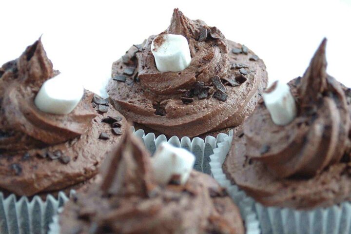 Chocolate Cupcakes