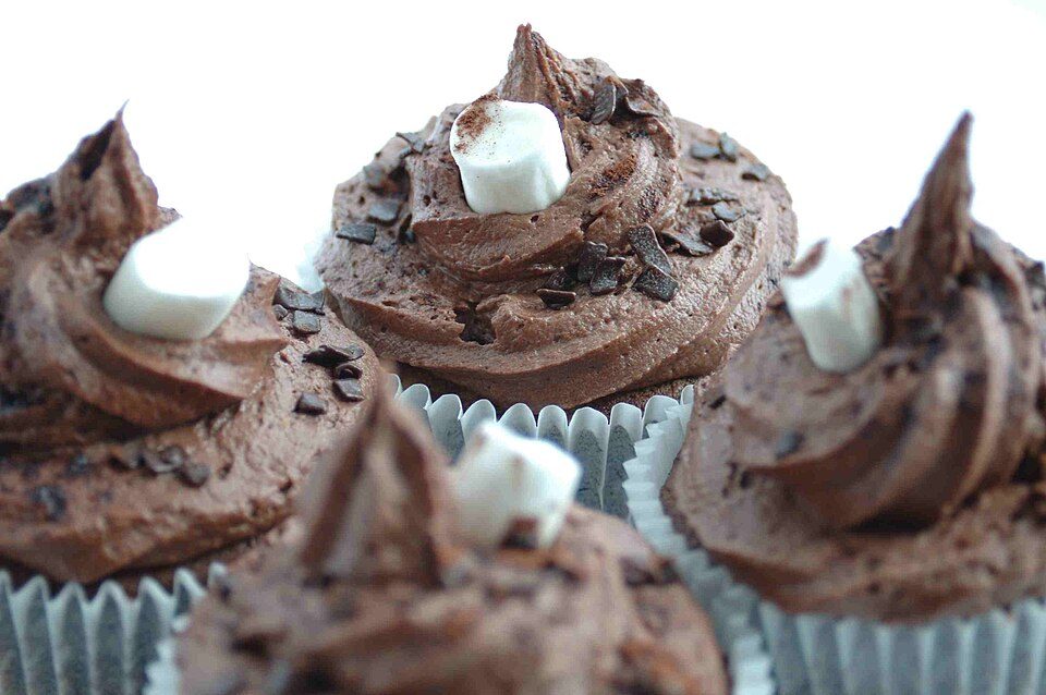 Chocolate Cupcakes